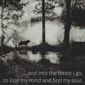 Meet your Posher, Sherry